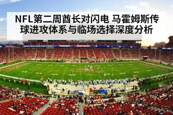 nfl football stadium action